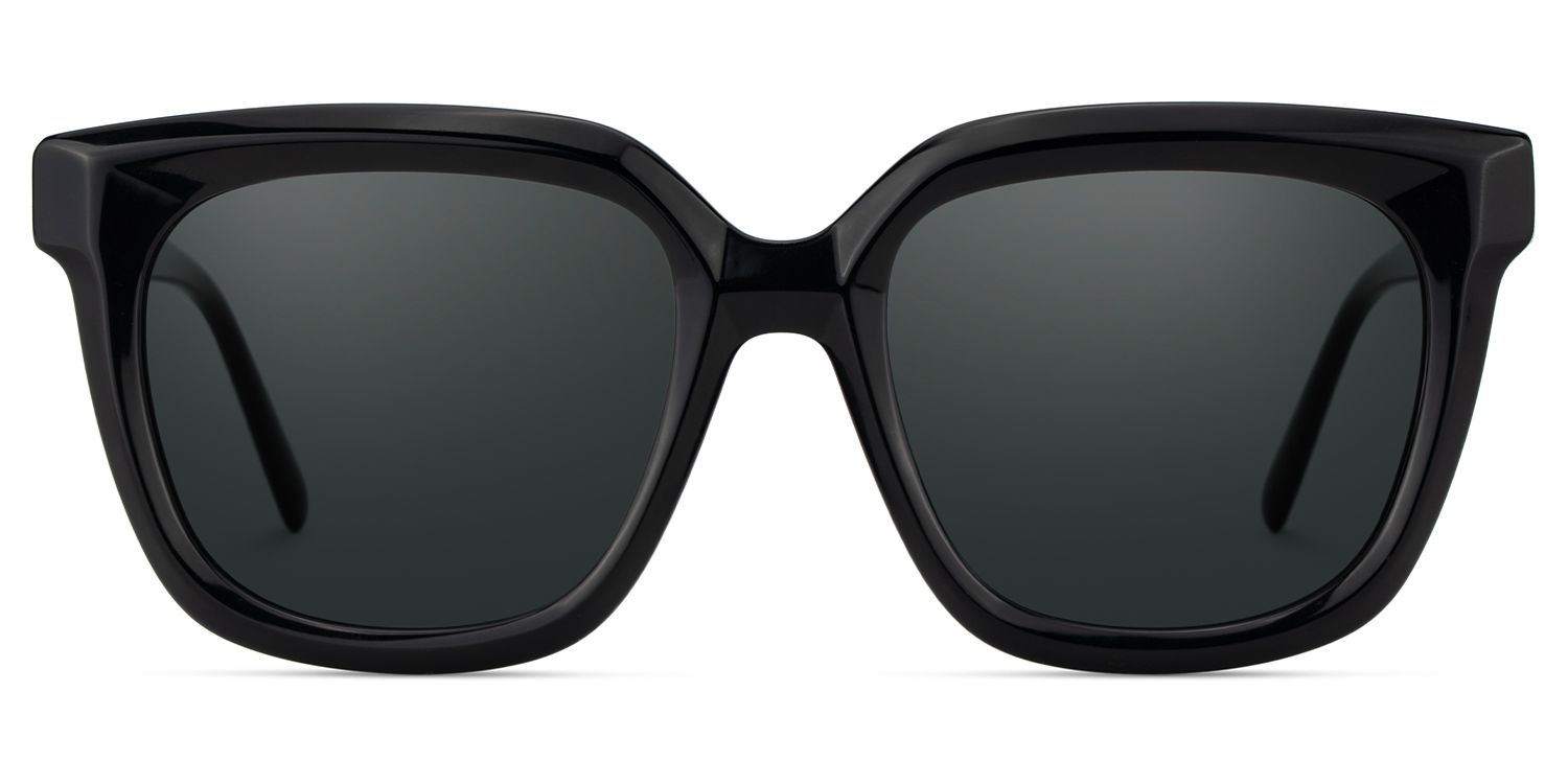 Lark Square Style Black Frame Sunglasses | ZEELOOL0
