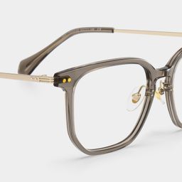 Eve Brown Rectangle Glasses5