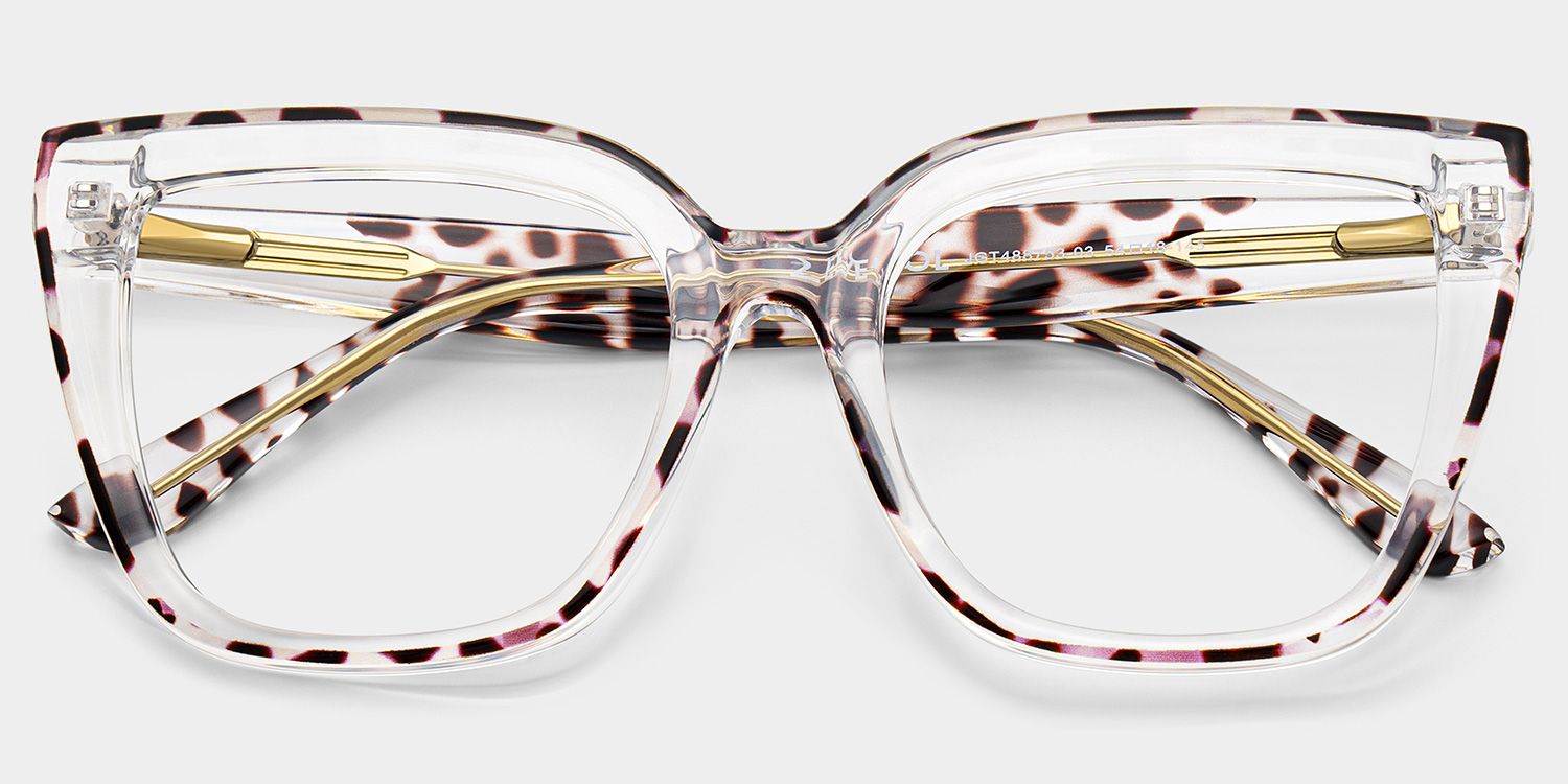 Mirta Square Tortoise Eyeglasses and Clear Frame1