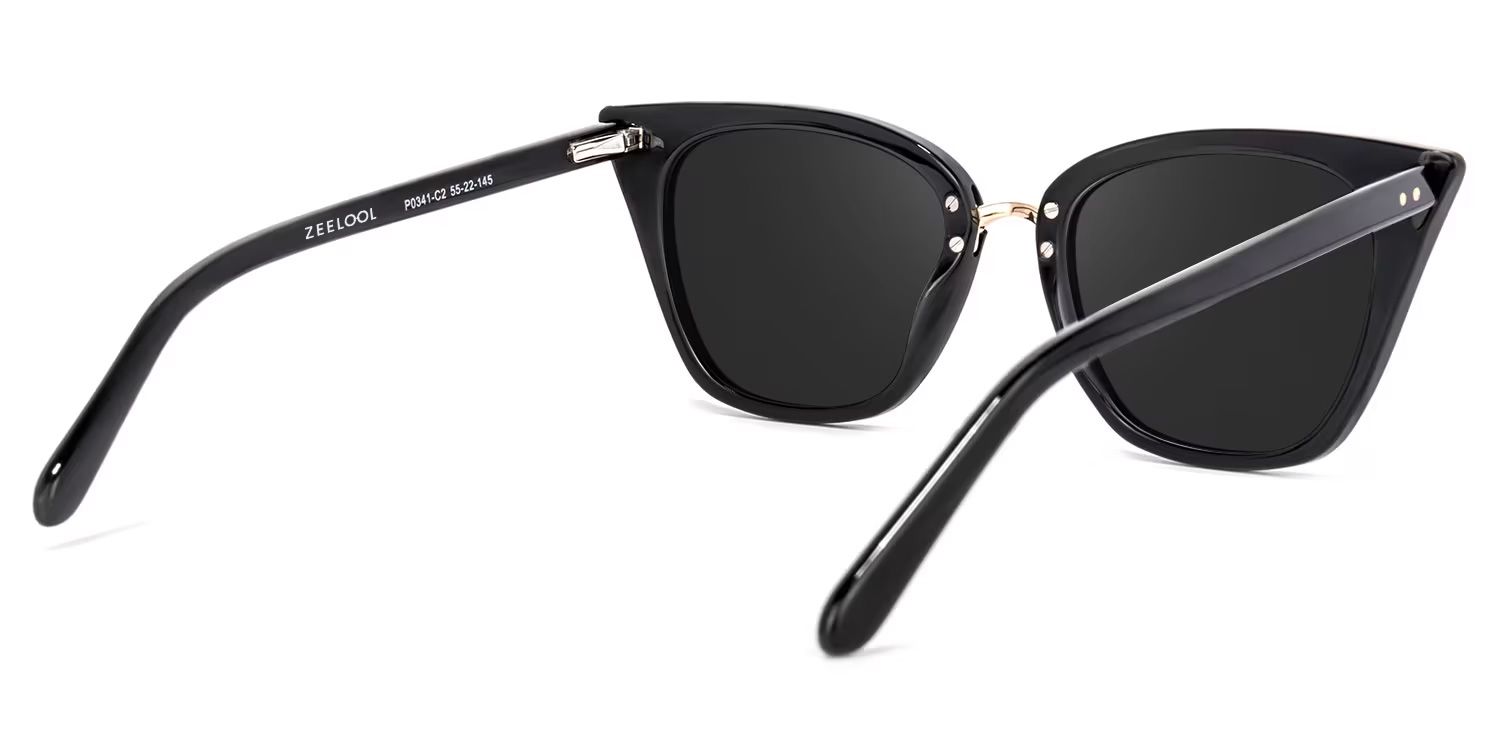 Tallulah Acetate Black Frame Sunglasses | ZEELOOL4