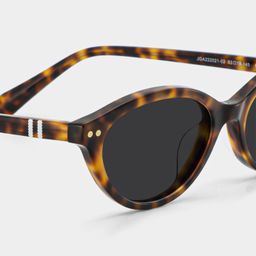 Ashby Tortoise Oval Sunglasses4