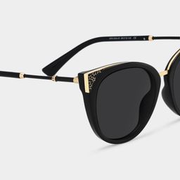 Dalton Black Cat eye Sunglasses4