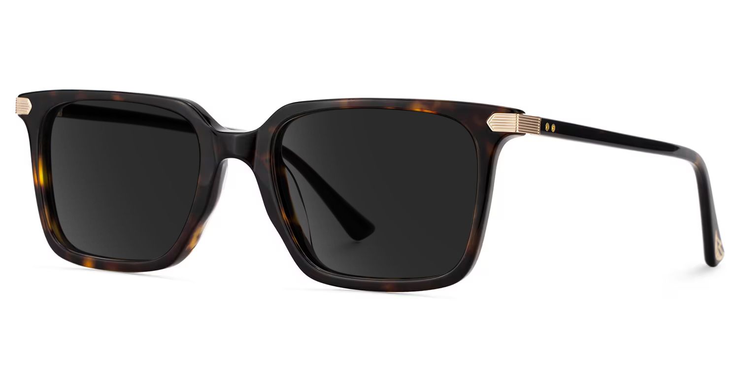Goveo Tortoise Rectangle Sunglasses to Frame Your Face | ZEELOOL2
