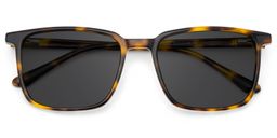 Aidan Tortoise Rectangle Sunglasses1