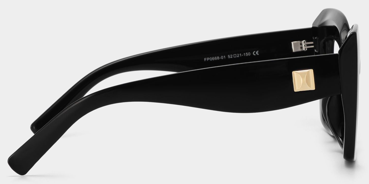 Alberta Cat Eye Black Oversized Thick Frame Glasses3