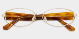 Dakota Tortoise Geometric Glasses2