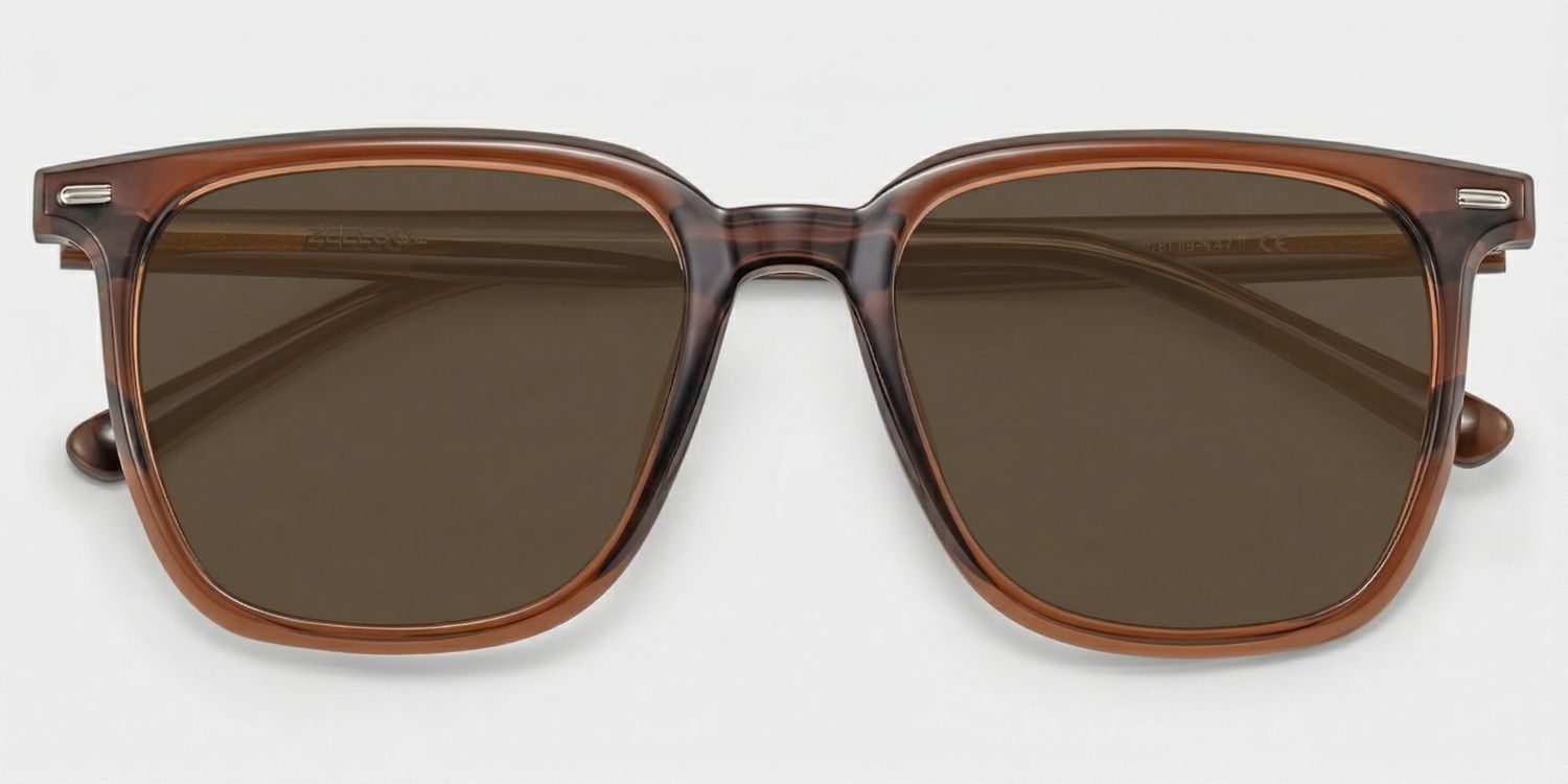 Eliza Square Dark Brown Frame Sunglasses Online Sale | ZEELOOL1