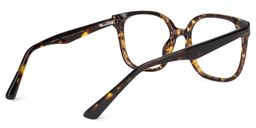 Siner Tortoise Square Glasses3
