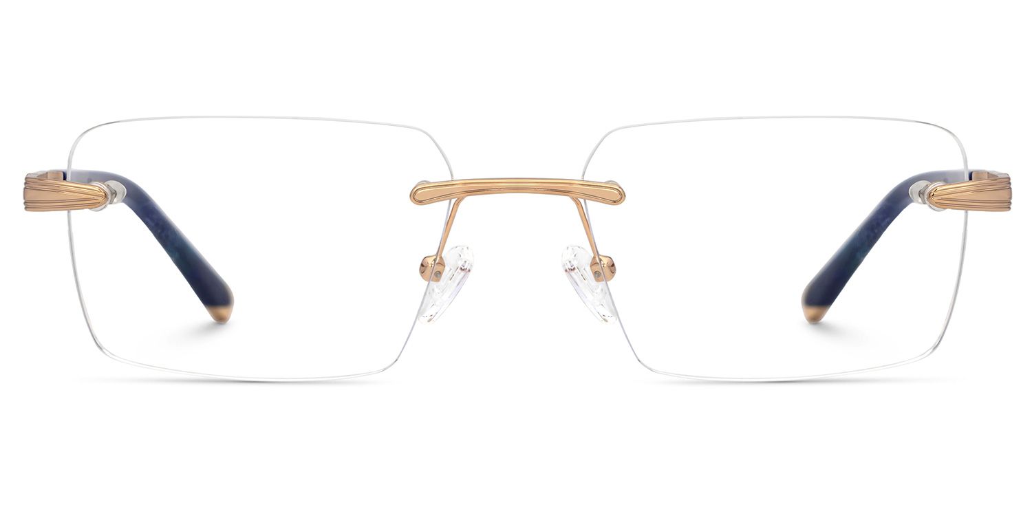 Blue Mixed-Materials Rectangle Eyeglasses- Savitrie0