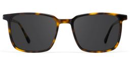 Aidan Tortoise Rectangle Sunglasses0