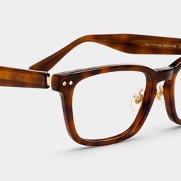 Buzz Tortoise Rectangle Glasses5