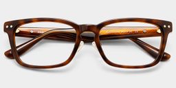 Buzz Tortoise Rectangle Glasses2