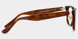 Buzz Tortoise Rectangle Glasses4