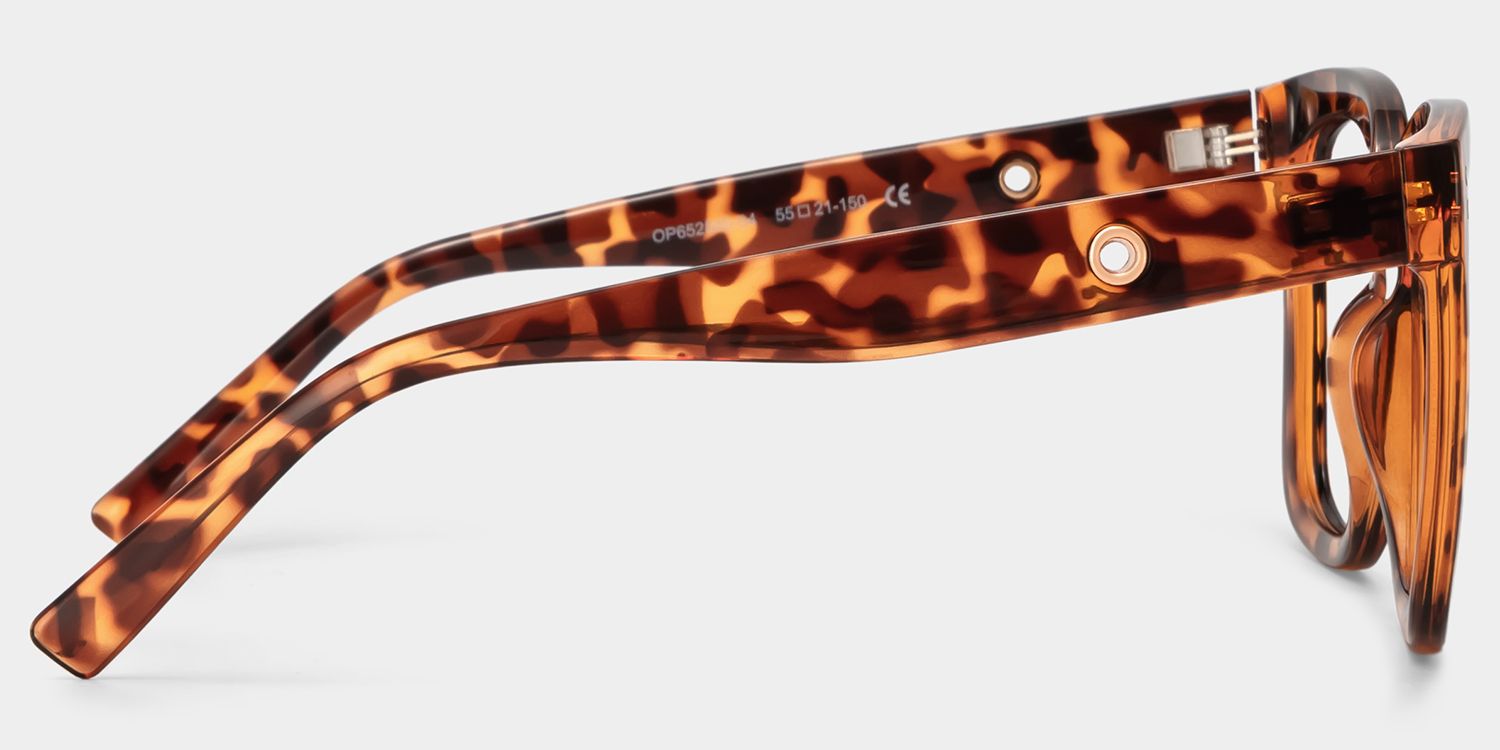 Ebony Tortoise Eyeglasses and Square Glasses Frames | ZEELOOL4