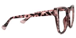 Fenn Multicolor Cat eye Glasses2