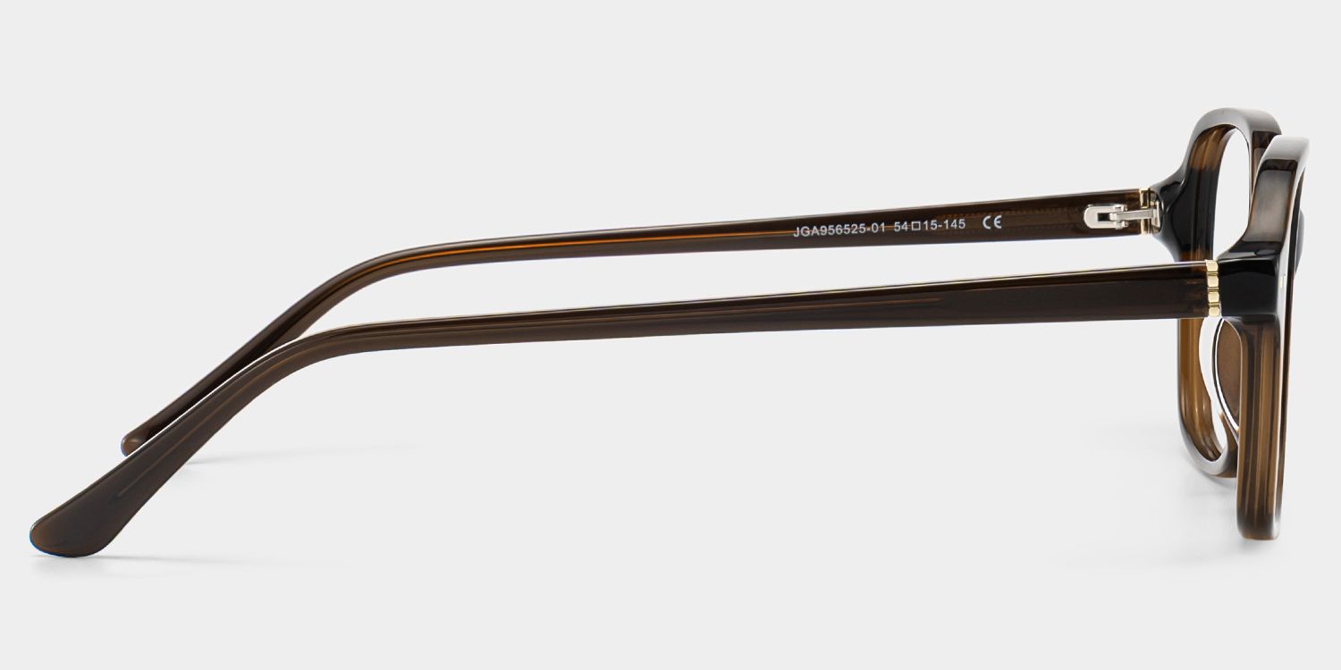 Clementine Chocolate Brown Square Glasses | ZEELOOL4