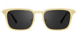 Chaney Gold Rectangle Sunglasses0