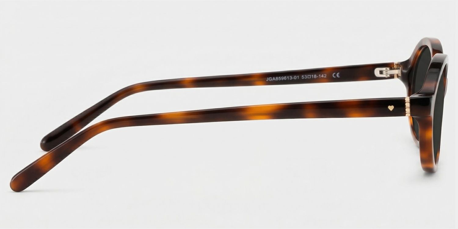 Everly Tortoise Oval Polarized Sunglasses for Driving | ZEELOOL3