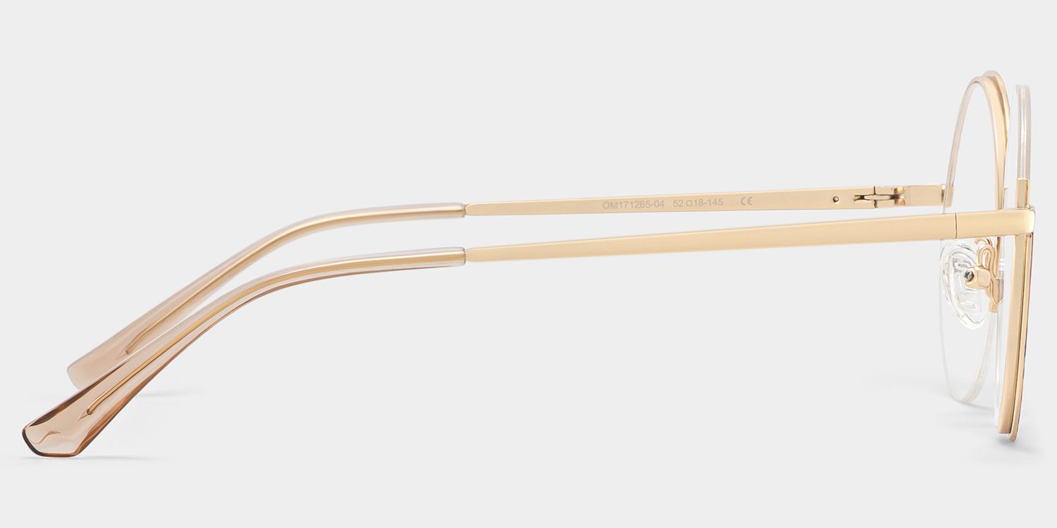 Flozif Tortoise Round Frame Glasses deals -Zeelool3