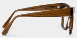 Ansyah Leopard Cat eye Glasses4