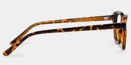 Amber Tortoise Square Glasses4