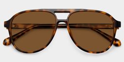 Luna Tortoise Aviator Sunglasses1