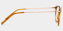 Jessica Tortoise Cat eye Glasses4