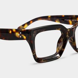 Nevaeh Tortoise Square Glasses5
