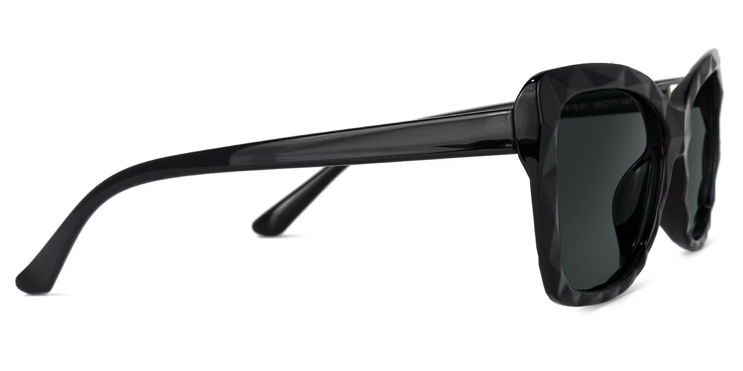 Wendell Plastic Black Cat Eye Frame Sunglasses | ZEELOOL2