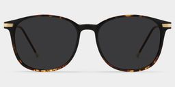 Greene Tortoise Square Sunglasses0