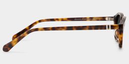 Ashby Tortoise Oval Sunglasses3