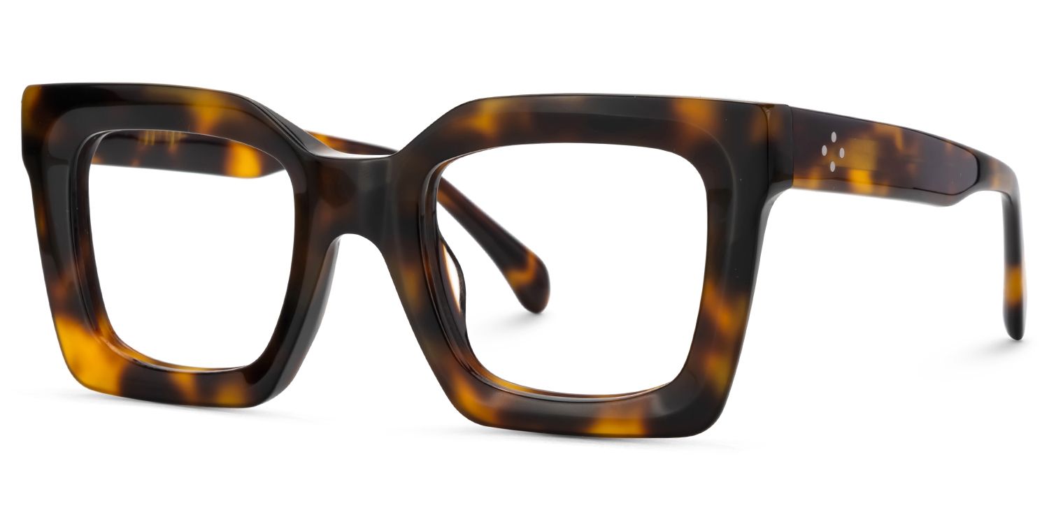 Designer Tortoise Shell Eyeglasses For Men3