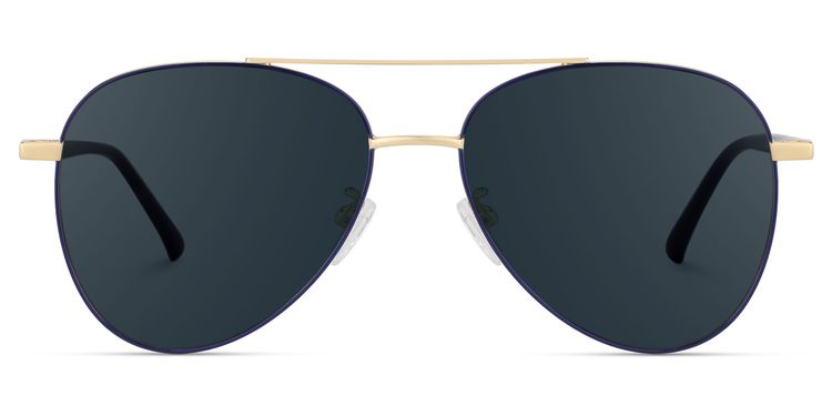 Paige Blue-Gold Aviator Sunglasses