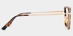 Sloane Tortoise Cat eye Glasses4