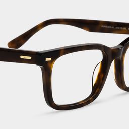 Patrick Tortoise Rectangle Glasses5