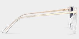 Tricee Clear Square Sunglasses3