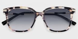 Jacqui Tortoise Square Sunglasses1