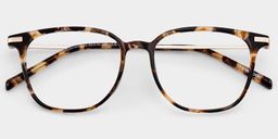 Florence Tortoise Rectangle Glasses2