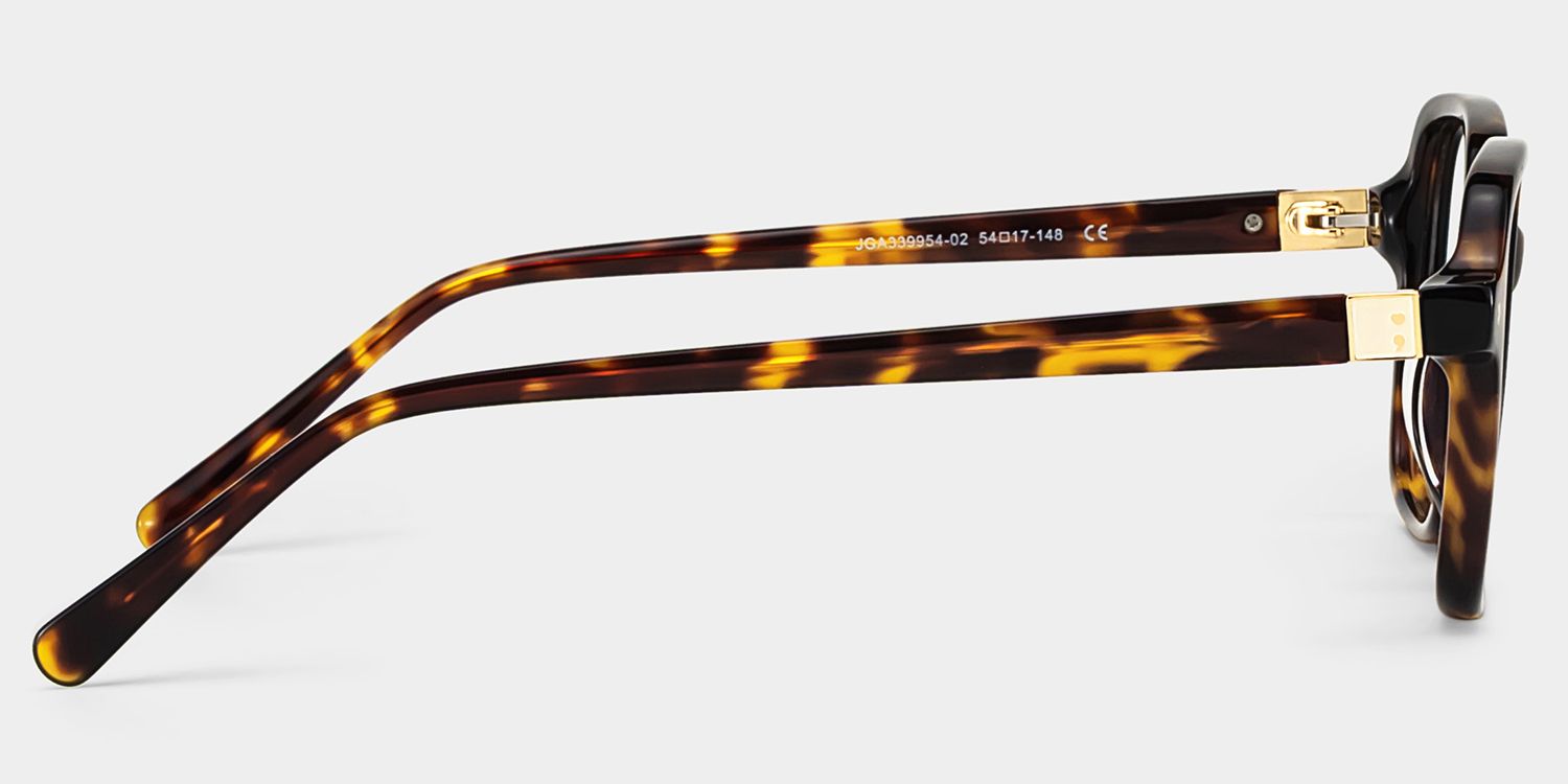 Talia Tortoise Frame Glasses with Square Frame Online | ZEELOOL6