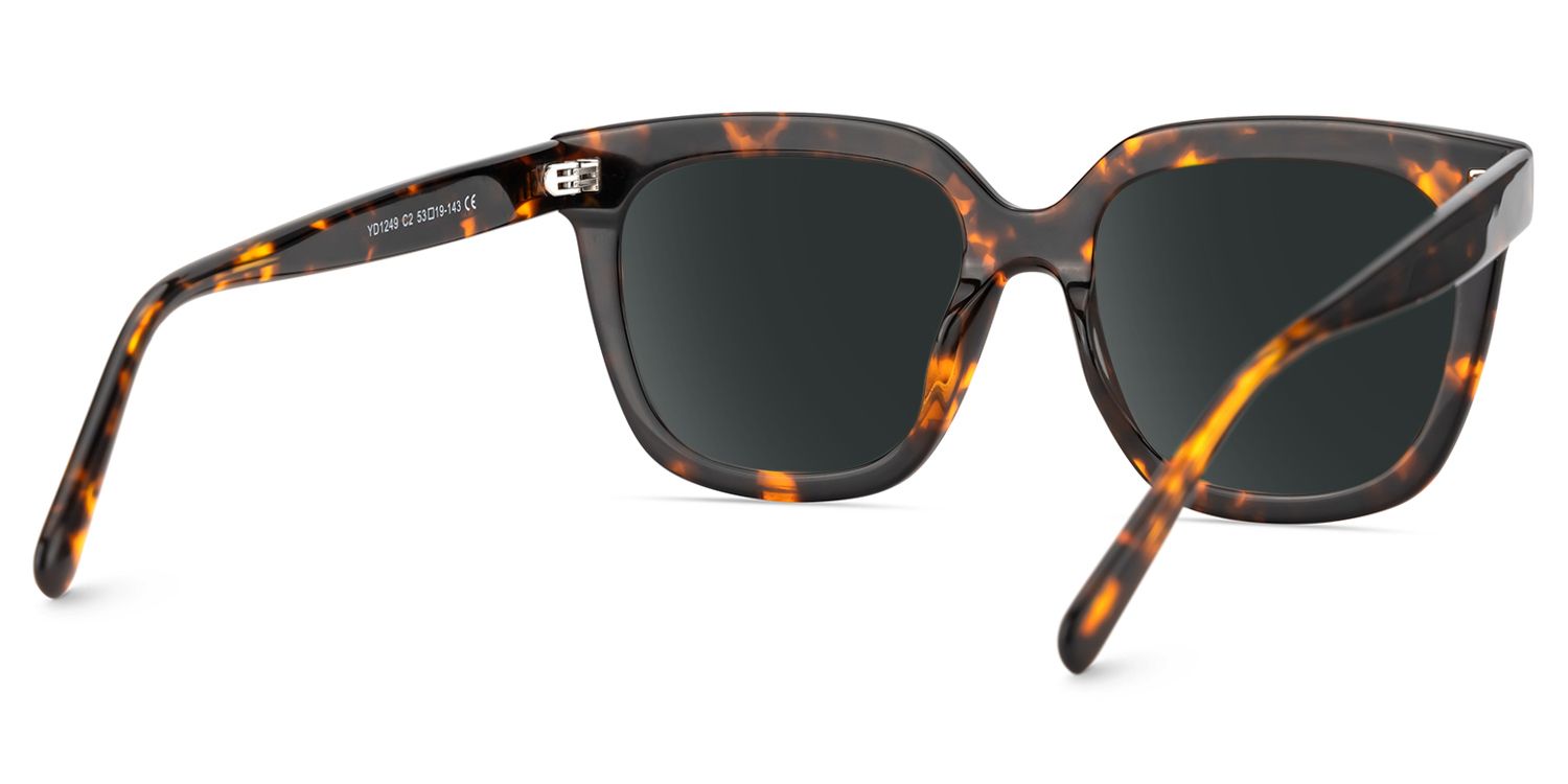 Lark Square Tortoise Sunglasses for Women & Men | ZEELOOL4