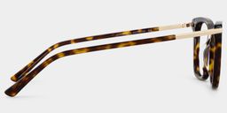 Eliot Tortoise Rectangle Glasses4