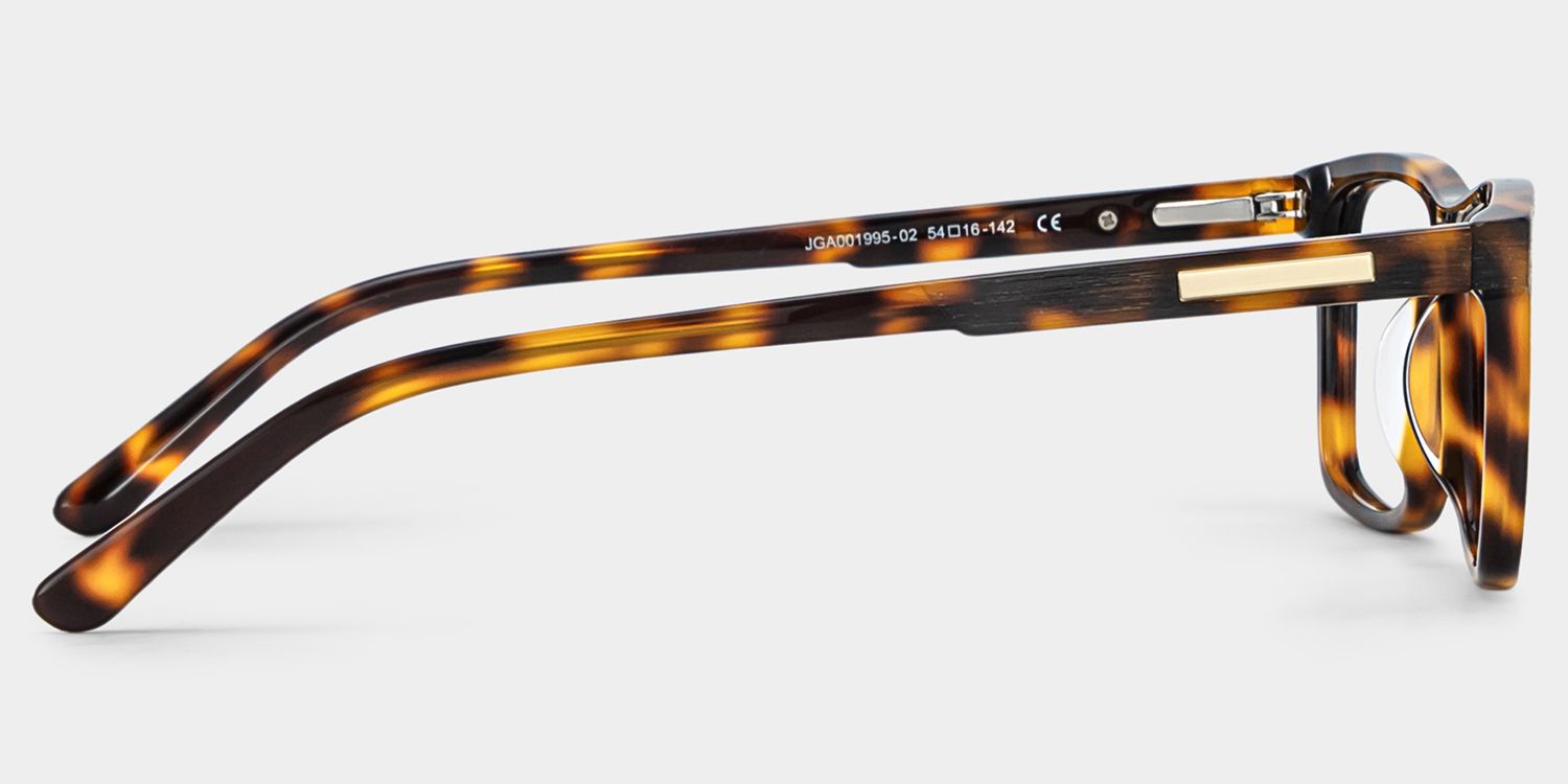 Daniel Tortoise Rectangle Acetate Frame Glasses for Men | ZEELOOL3