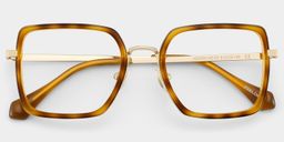 Shane Tortoise Square Glasses2