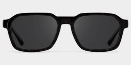 Arden Tortoise Rectangle Sunglasses0