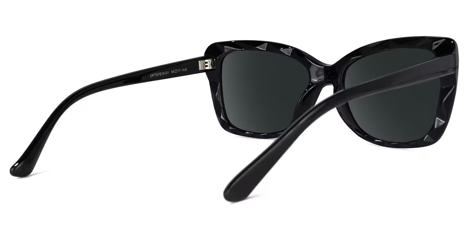 Wendell Plastic Black Cat Eye Frame Sunglasses | ZEELOOL3
