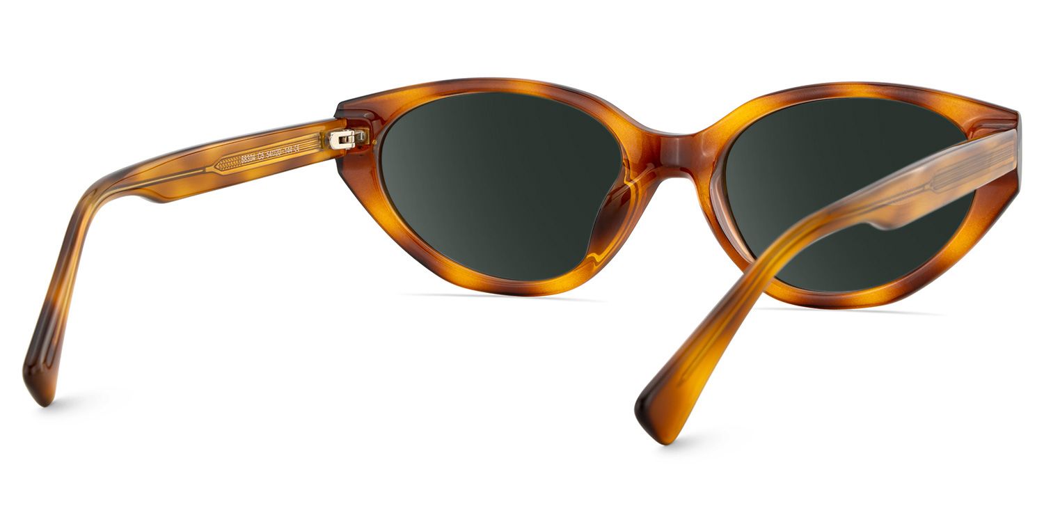 Raine Tr90 Tortoise Cat Eye Frame Sunglasses | ZEELOOL4