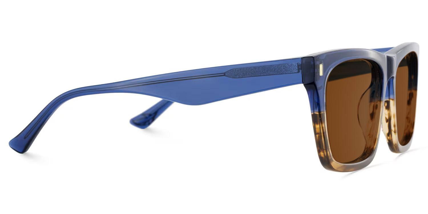 Brookins Acetate Blue Brown Frame Sunglasses | ZEELOOL3