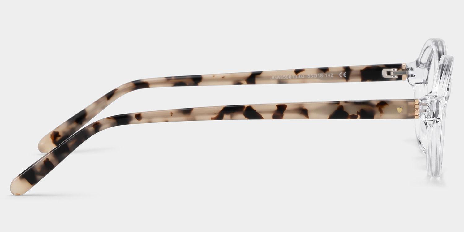 Oval Clear Eyeglasses- Everly Acetate Frame Glasses4