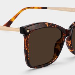 Isaebella Tortoise Butterfly Sunglasses4