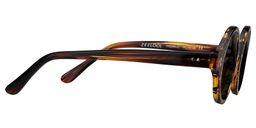 Giggs Tortoise Round Sunglasses3